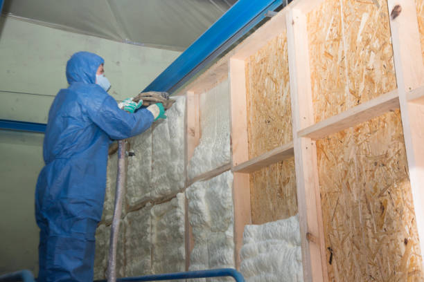 Insulation Inspection Services in Johnstown, CO