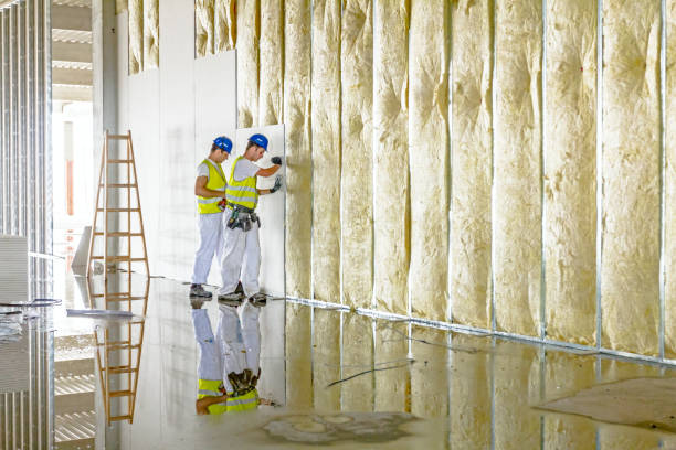 Insulation for Commercial Buildings in Johnstown, CO